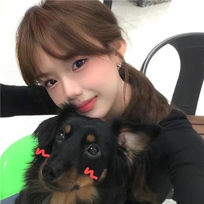 大夏龙帝第一部