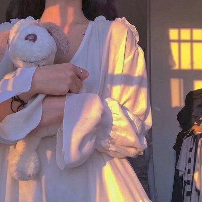 愤怒的小鸟：夏日疯狂第三季